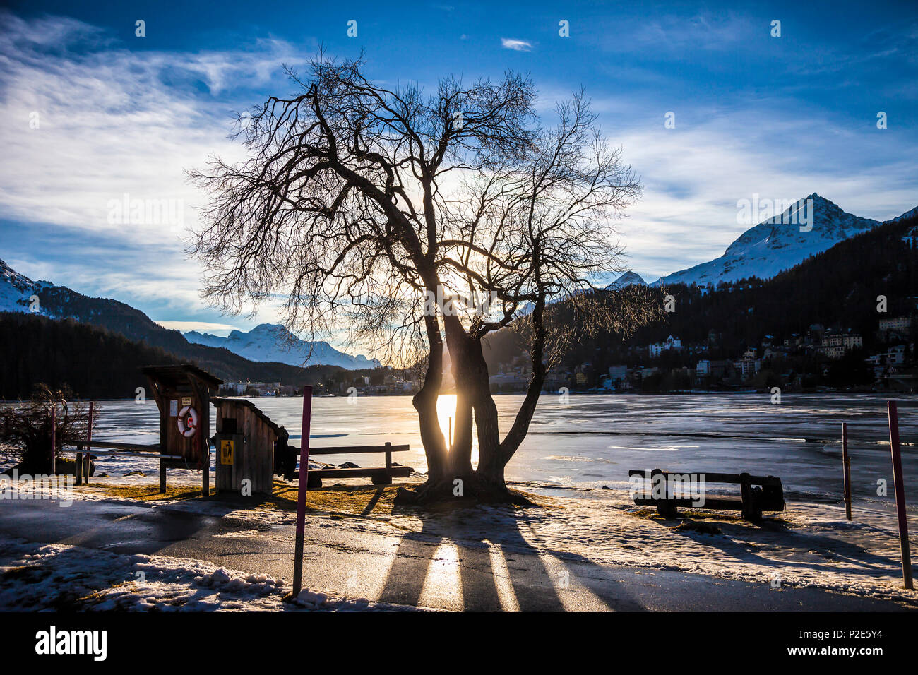 Silhouette of a tree during sunset on the shore of a lake Stock Photo ...