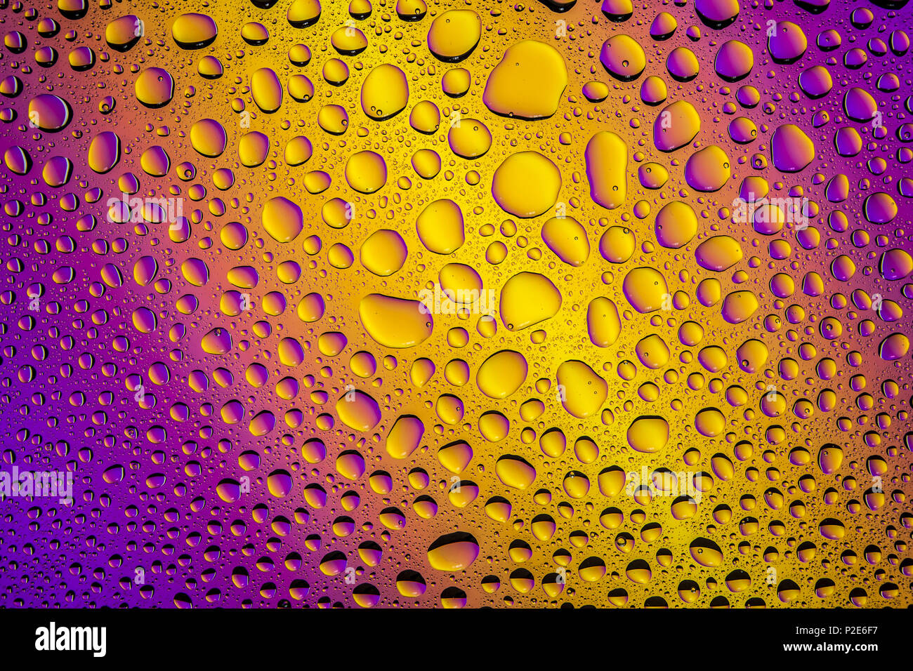 Close Up Of A Water Drops On A Purple And Yellow Gradient Background Covered With Drops Of Water Condensation Stock Photo Alamy Close Up Of A Water Drops On A Purple And Yellow Gradient Background Covered With Drops Of Water Condensation Stock Photo Alamy