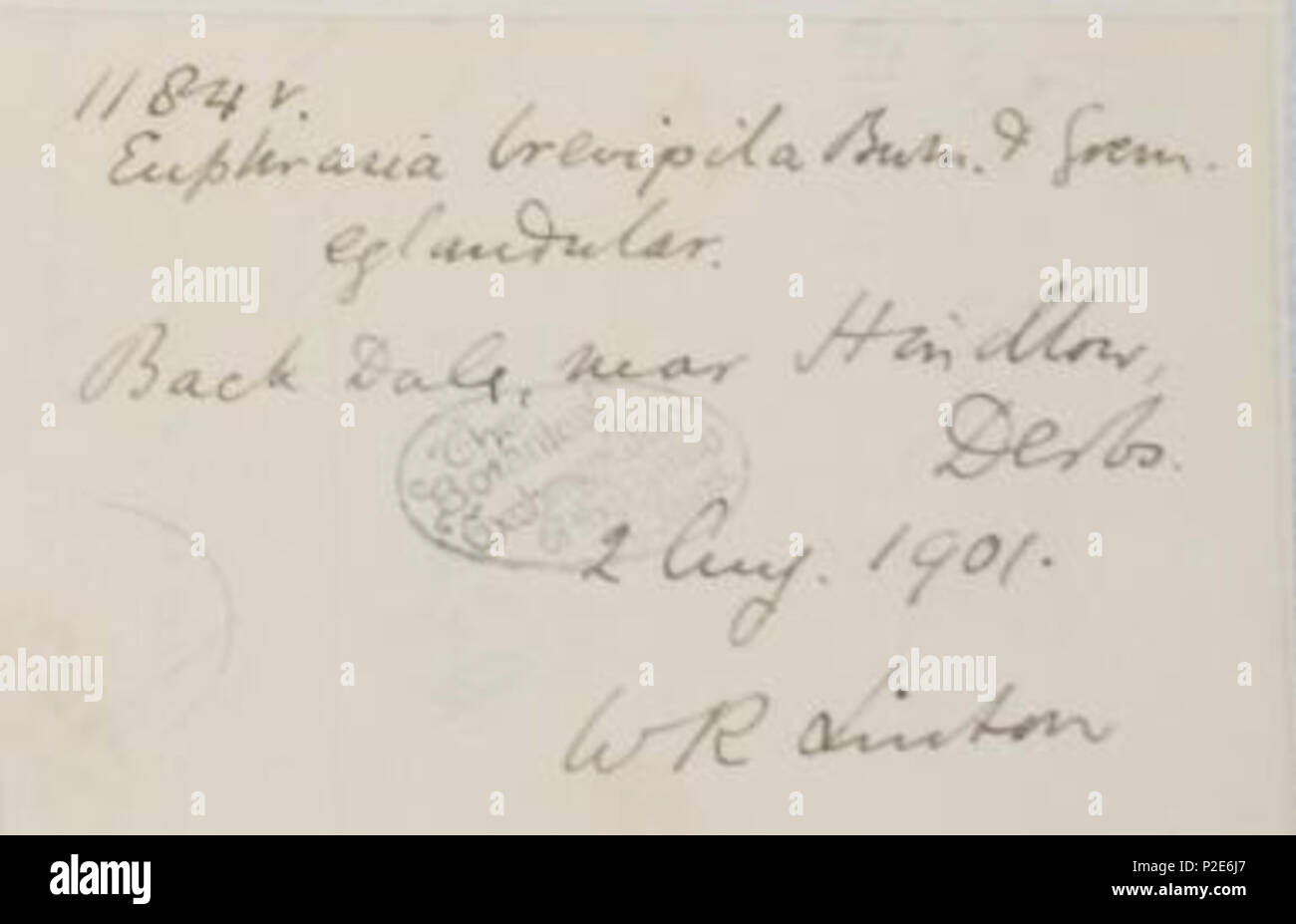 . English: Handwriting source of Rev. William Richardson Linton. 1901. William Richardson Linton 45 Rev William Richardson Linton handwriting source Stock Photo