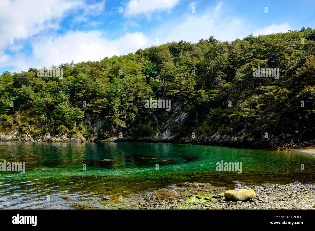 Turquoise coloured water at a beach at the Beagle Channel in Tierra del Fuego National Park in Ushuaia. Stock Photo