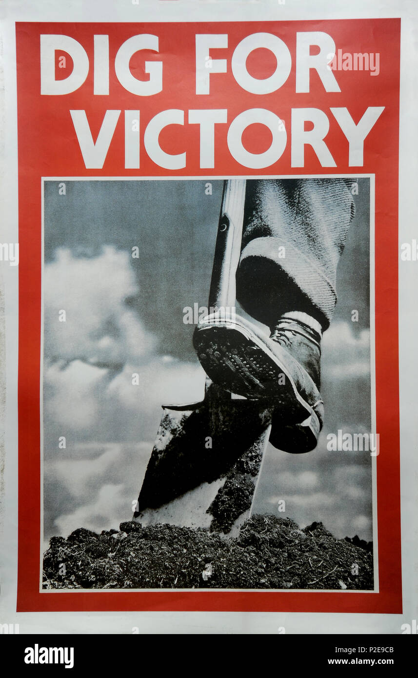 Dig For Victory poster Stock Photo