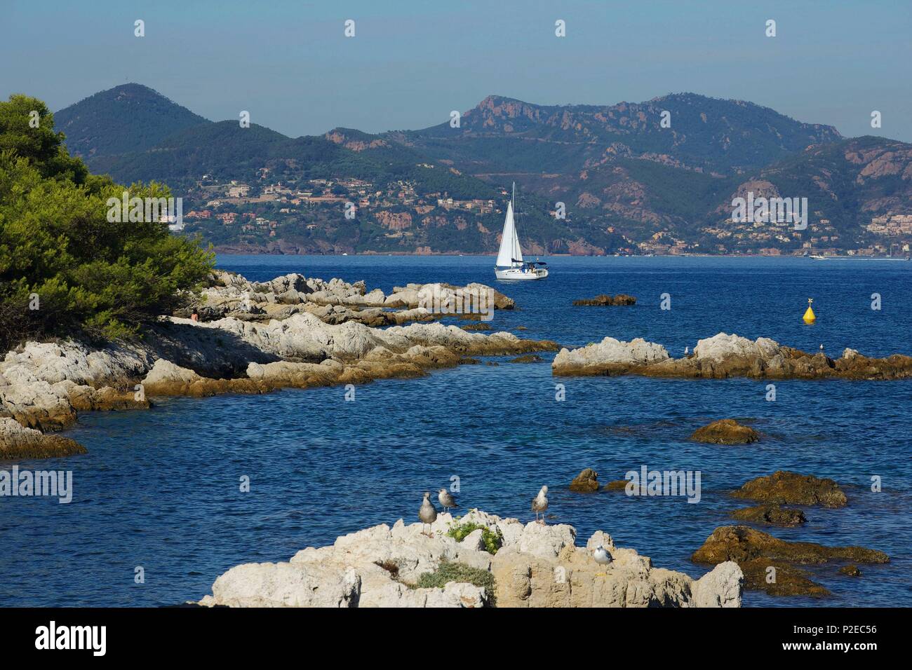 France, Alpes Maritimes, Cannes, Islands of Lerins, island Saint