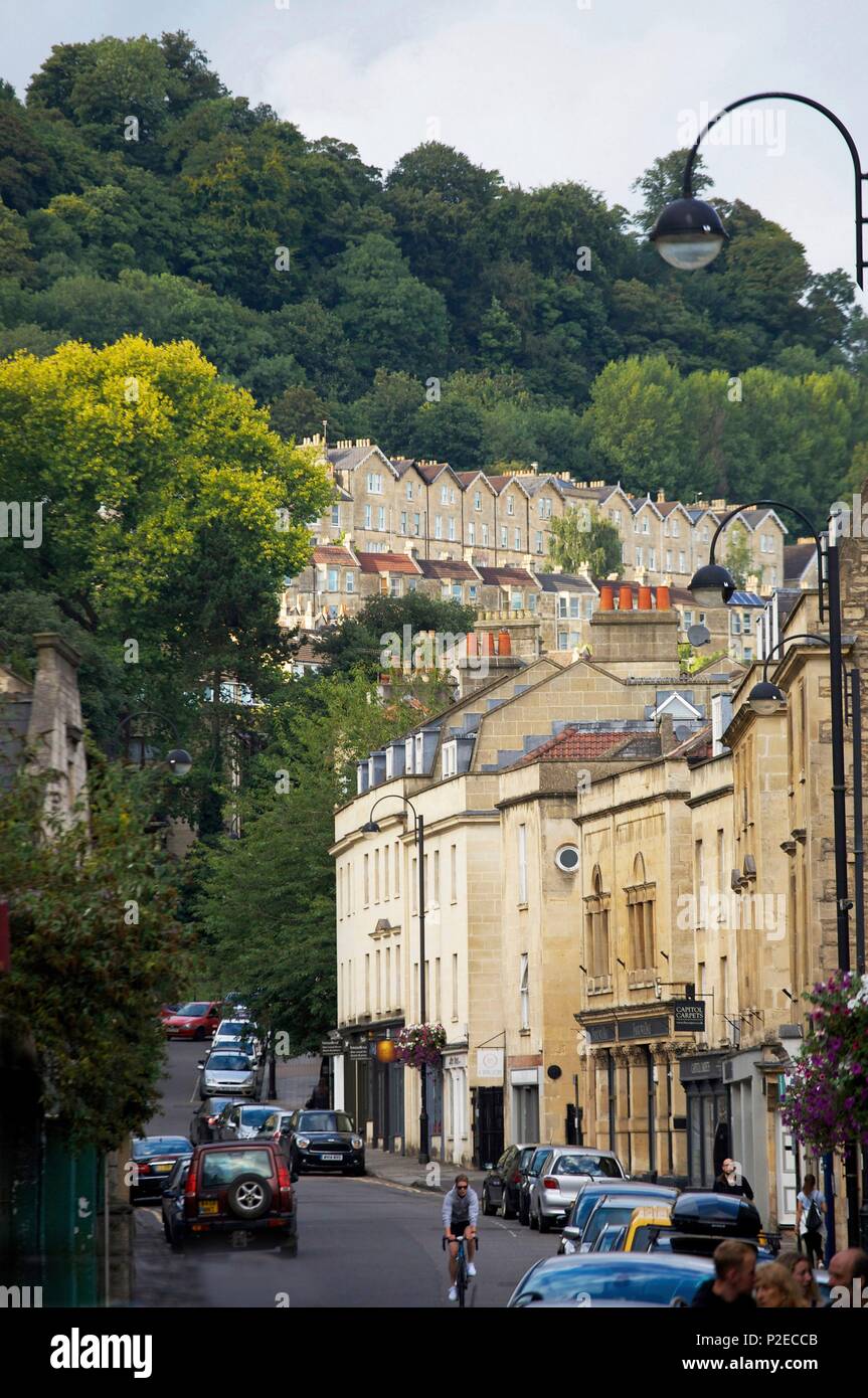United Kingdom, Somerset county, Bath, hills woodland above the ...