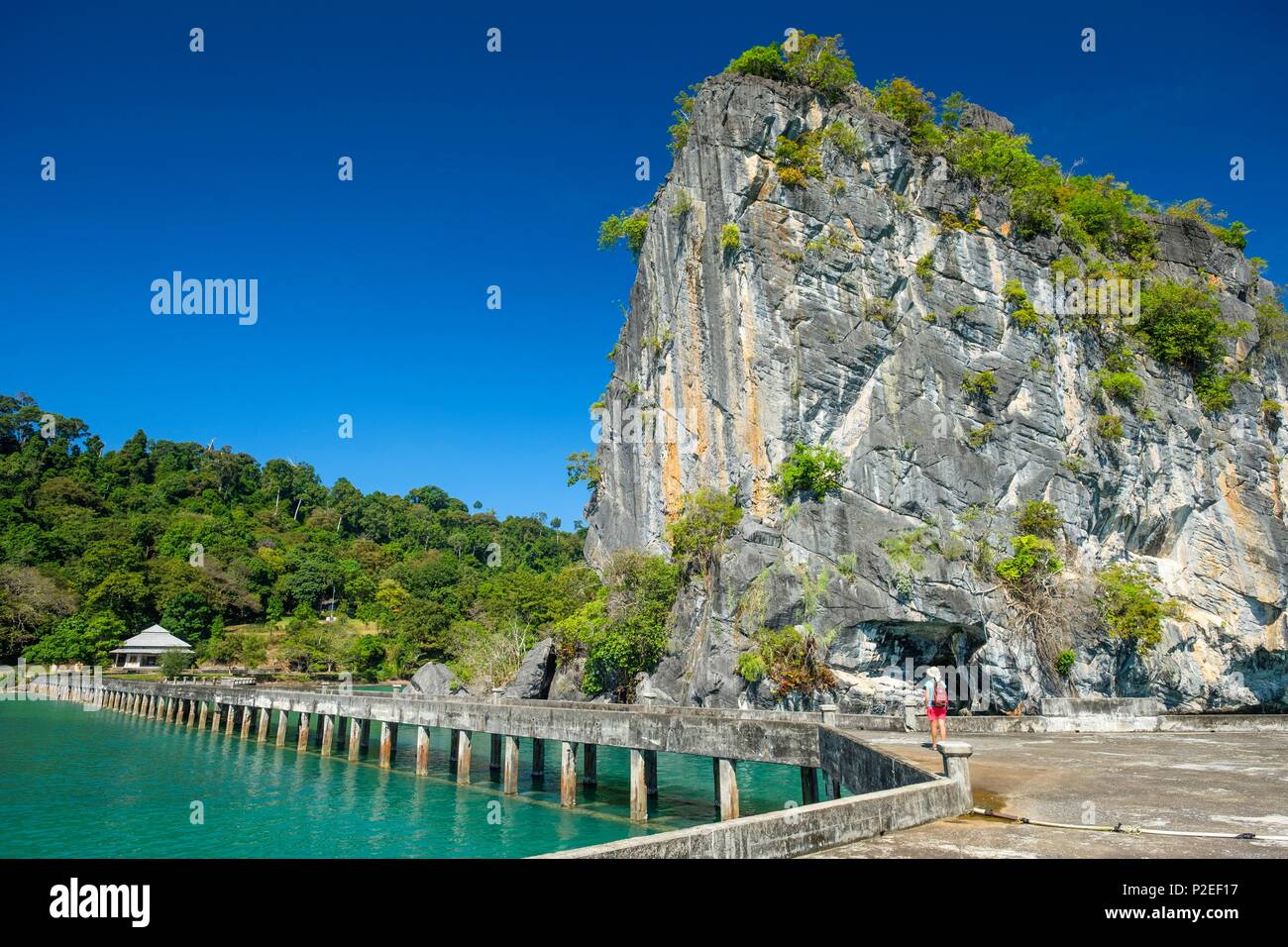 Thailand, Satun province, Tarutao National Marine Park, Ko Tarutao island, Ao Talo Wow, karst rock emerging from the ocean Stock Photo