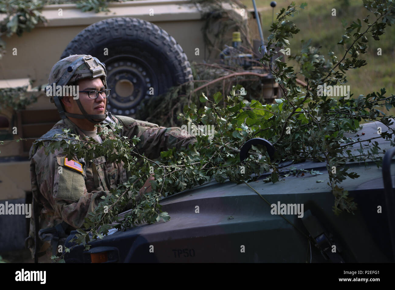 A U.S. Soldier of the 3rd Brigade Support Battalion, 1st Armored Brigade, 3rd Infantry Division applies camouflage to a Humvee while conducting a force on force training scenario during exercise Combined Resolve VII at the U.S. Army’s Joint Multinational Readiness Center in Hohenfels Germany, Sept. 11, 2016. Combined Resolve VII is a 7th Army Training Command, U.S. Army Europe-directed exercise, taking place at the Grafenwoehr and Hohenfels Training Areas, Aug. 8 to Sept. 15, 2016. The exercise is designed to train the Army’s regionally allocated forces to the U.S. European Command. Combined R Stock Photo