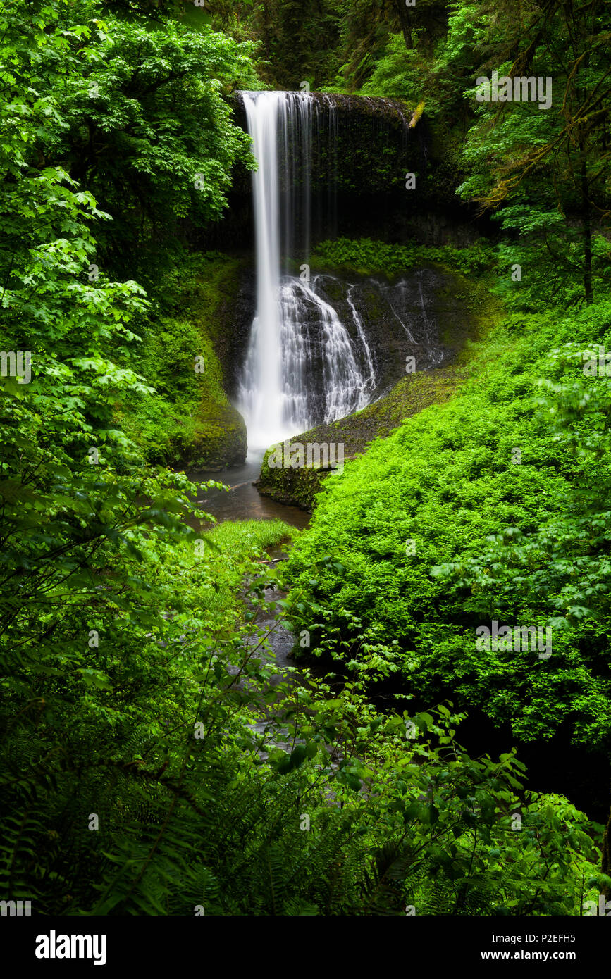 Middle North Falls at the Silver Falls State park in northern Oregon