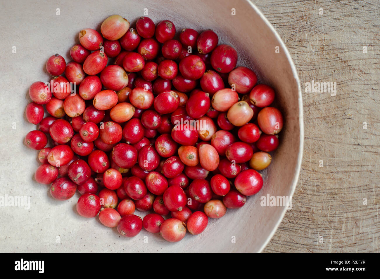 Produccion de cafe hi-res stock photography and images - Alamy