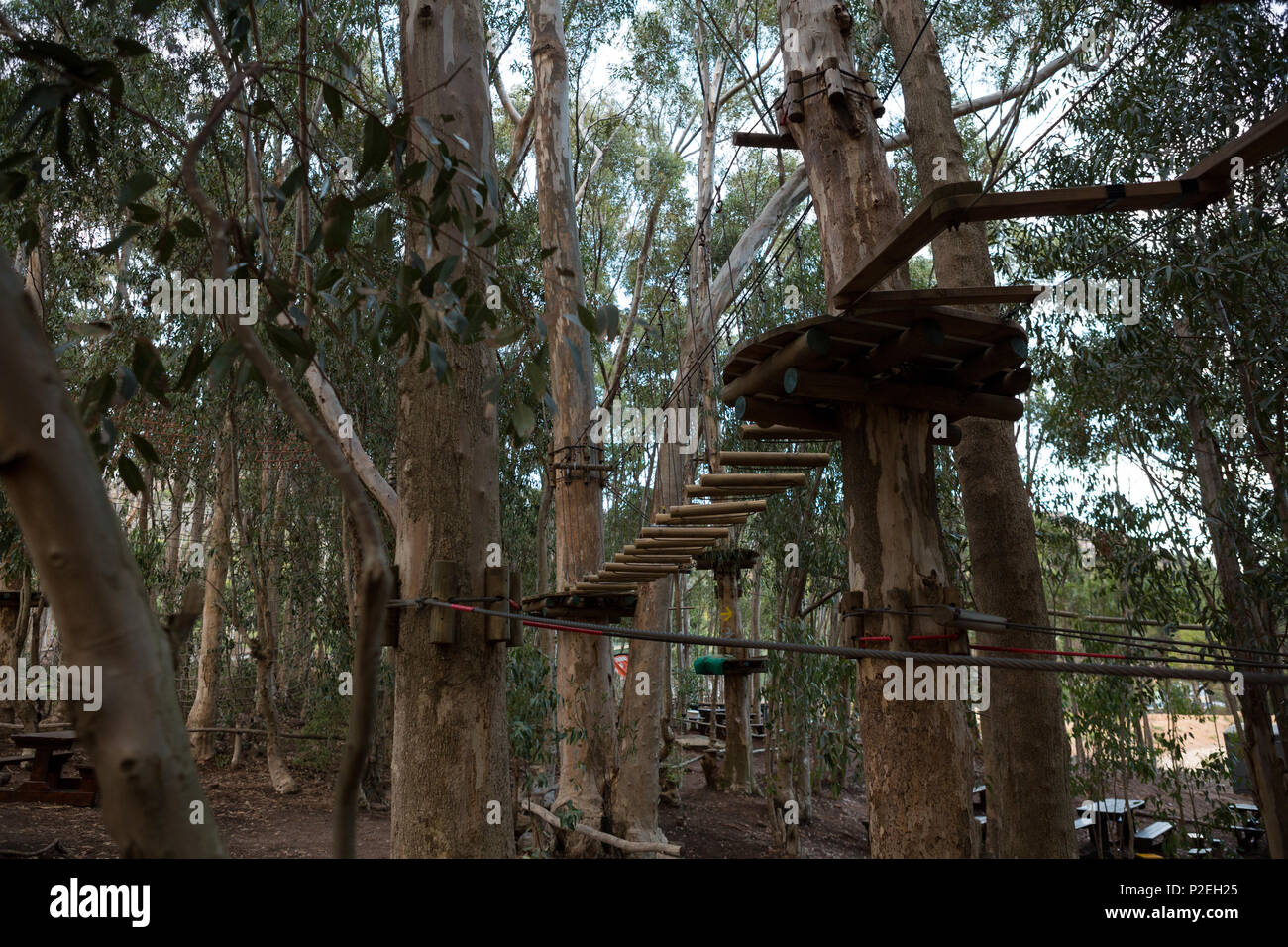 A view of wooden obstacles in the forest Stock Photo