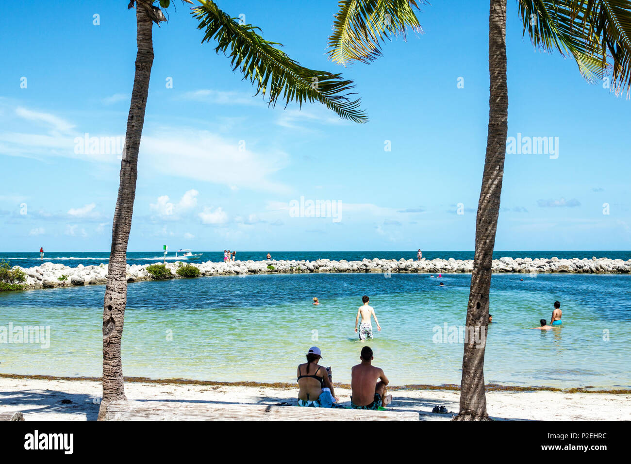 Florida largo key beach harry harris keys park pool tavernier atlantic tidal palm ocean trees man adults adult men upper
