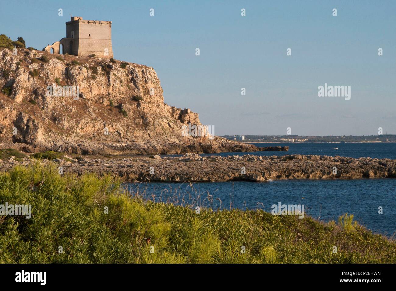 Italy Puglia Nardo Natural Reserve Of Porto Selvaggio Genoese Tower Standing On A Cliff Stock Photo Alamy