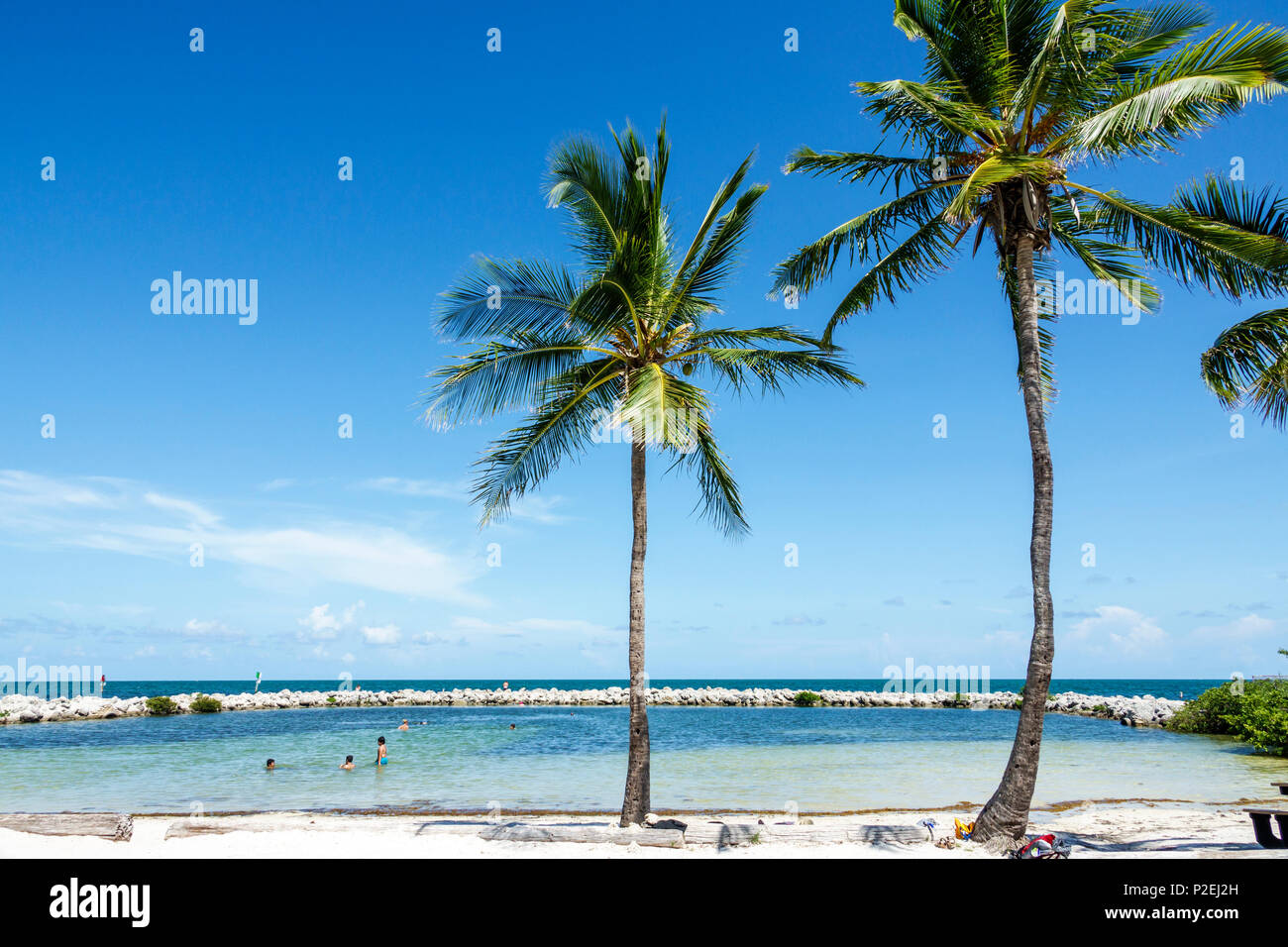 Florida Upper Key Largo Florida Keys,Tavernier,Harry Harris Beach & Park,Atlantic Ocean,tidal pool,palm trees,jetty,FL170818019 Stock Photo