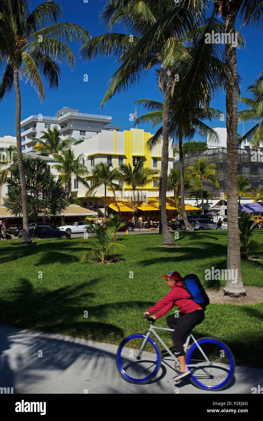 United States, Florida, Miami, Cyclist going back up the cycle track under palm trees, on Ocean Drive, on the South Beach district Stock Photo