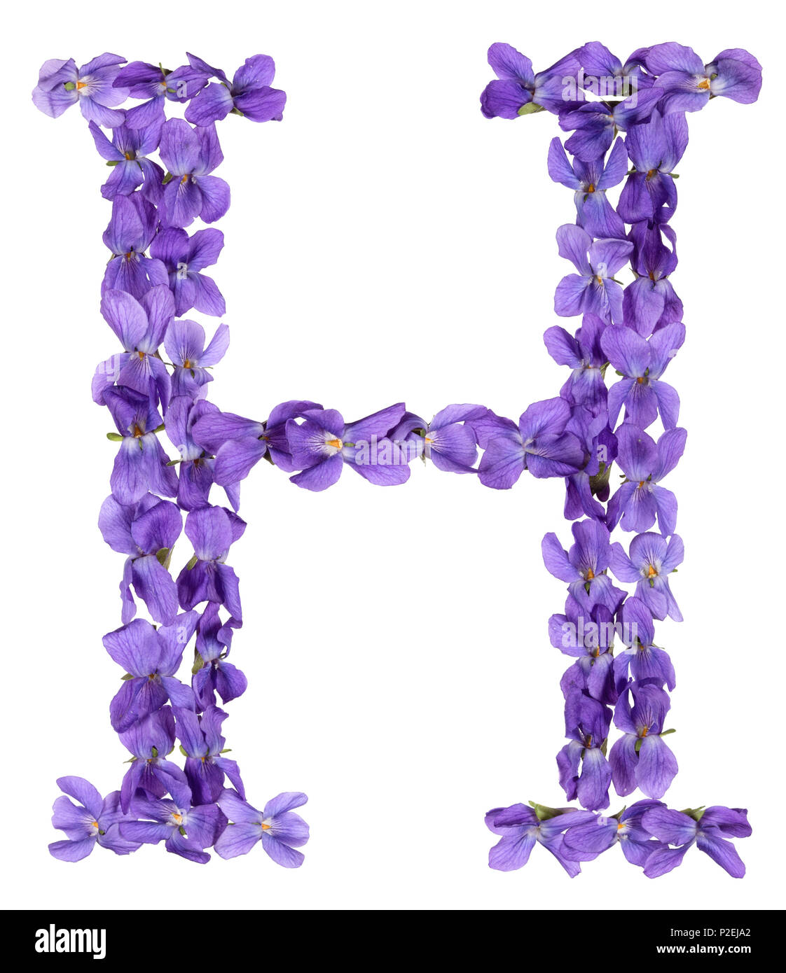 Letter H Flowers High Resolution Stock Photography and Images Alamy
