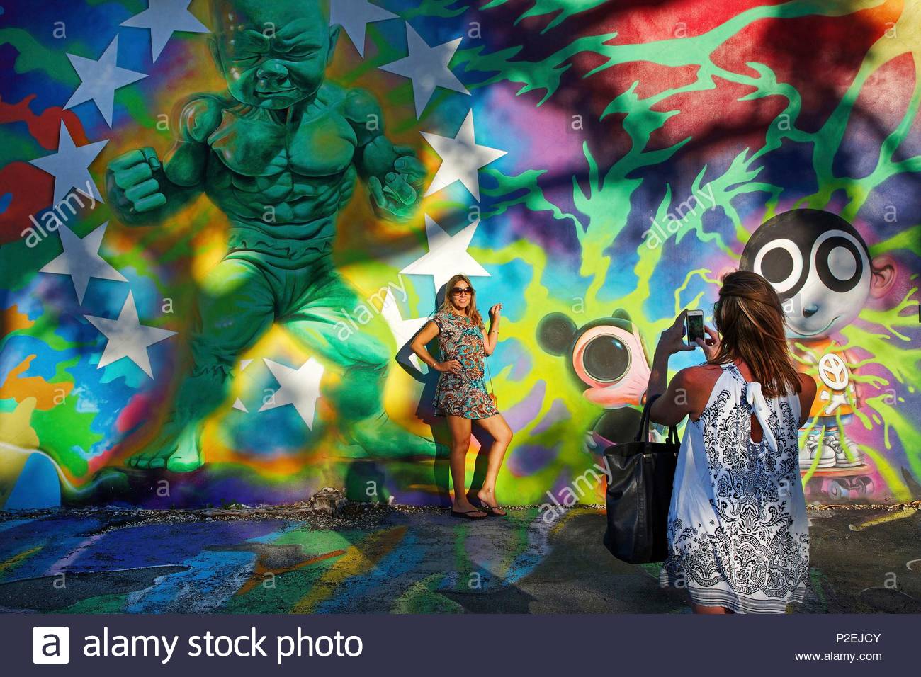 united states florida miami restaurant wynwood kitchen bar shooting in front of a painted wall by the street artist ron english in the courtyard of - Wynwood Kitchen And Bar united states florida miami restaurant wynwood kitchen bar shooting in front of a painted wall by the street artist ron english in the courtyard of - Wynwood Kitchen And Bar