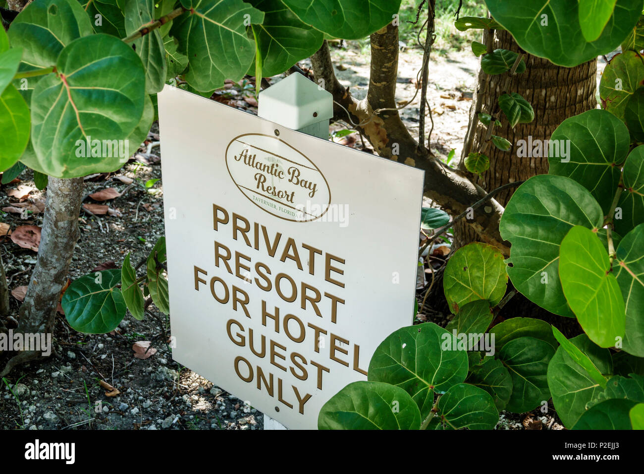 Florida Upper Florida Keys,Tavernier,Atlantic Bay Resort,private guests only,sign,FL170818026 Stock Photo