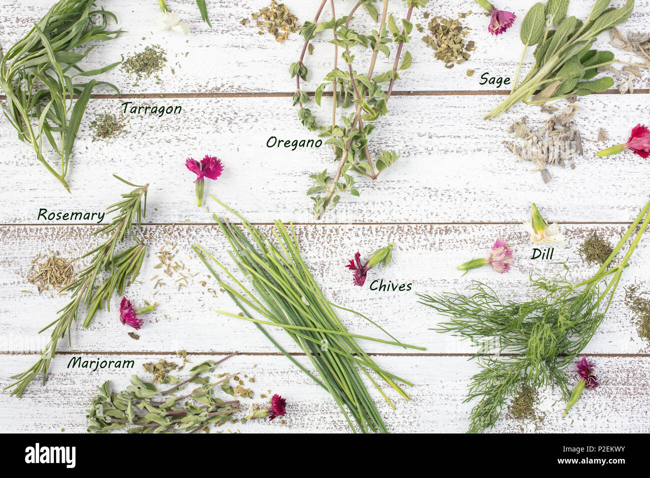 Tarragon, Rosemary, Chives, Sage, Marjoram and Dill herbs on a rustic