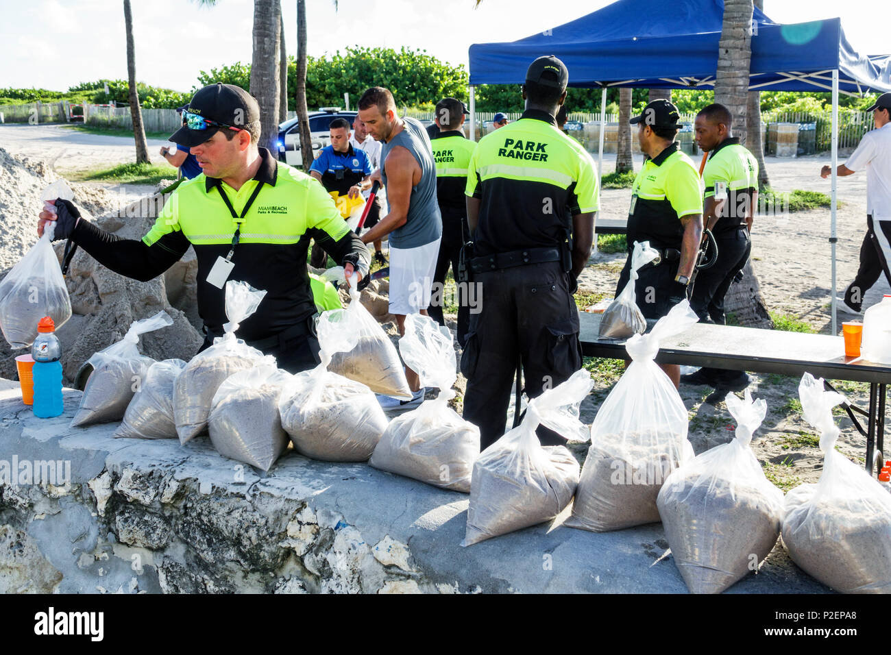 Miami Beach Florida,free sandbags,Hurricane Irma,preparation,park rangers,volunteer volunteers volunteering work worker workers,working together servi Stock Photo
