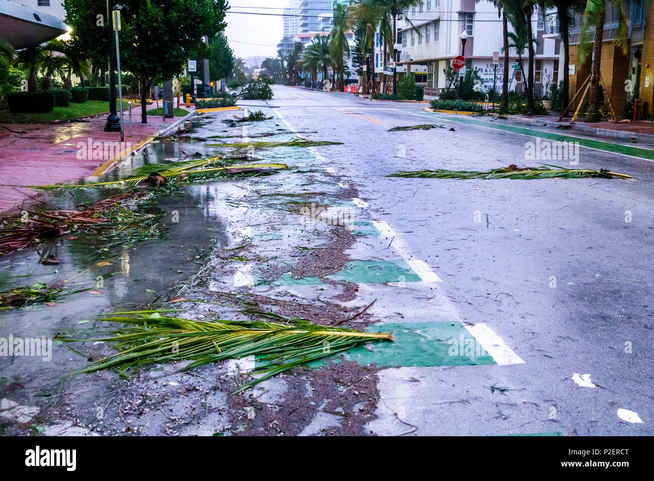 Miami Beach Florida,Ocean Drive,Hurricane Irma damage debris,street,deserted street,blown palm fronds,FL170911057 Stock Photo