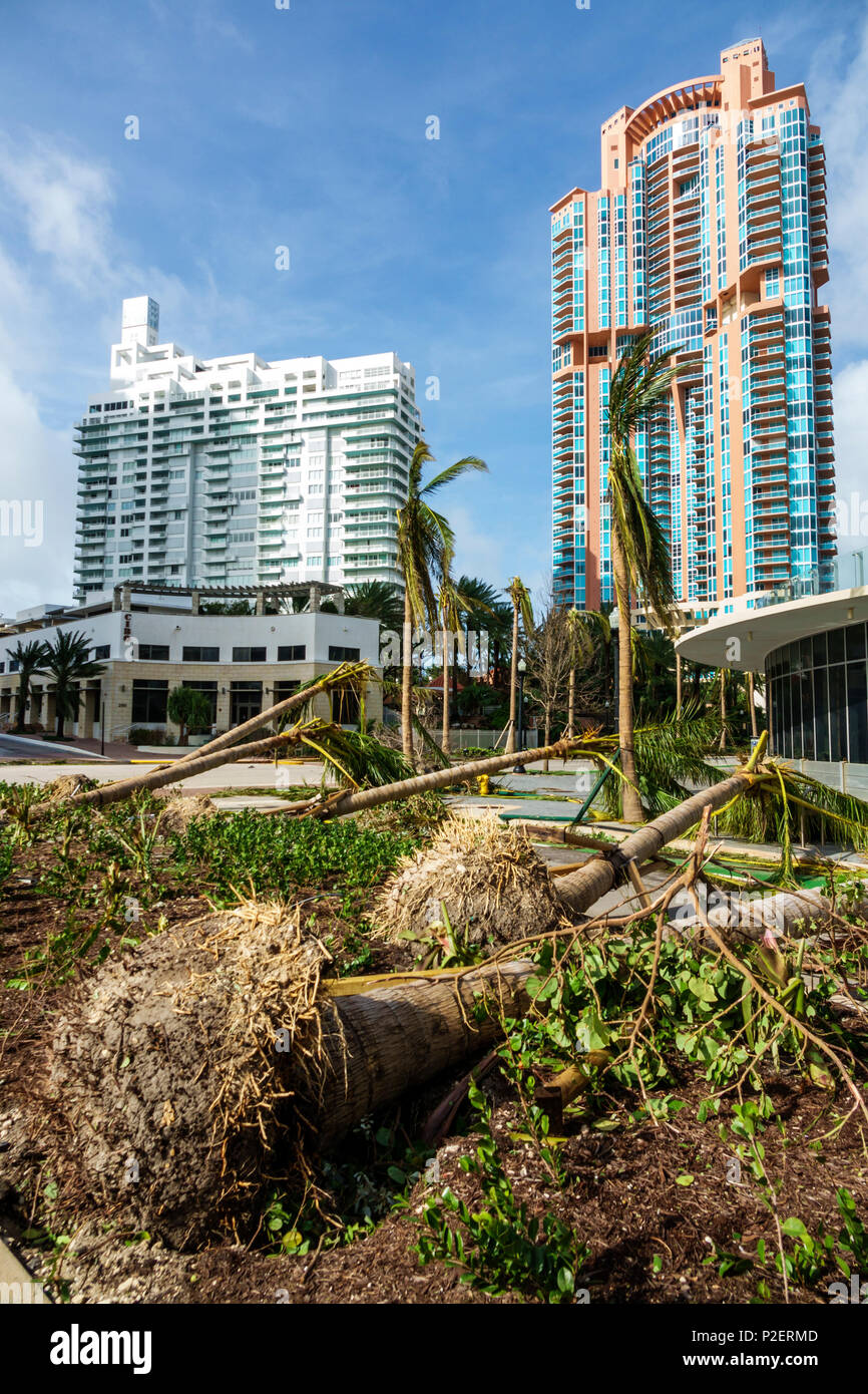 Miami Beach Florida,Ocean Drive,Hurricane Irma,wind damage,fallen downed trees,high-rise building,FL170911069 Stock Photo