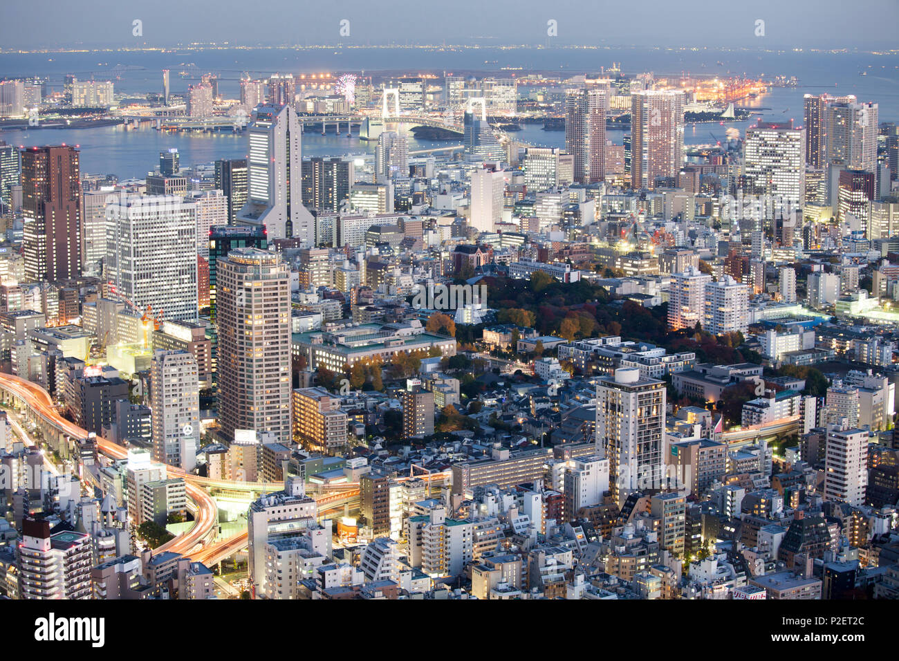 Odaiba, Bay and Rainbow Bridge seen from above during blue hour in autumn, Minato-ku, Tokyo, Japan Stock Photo