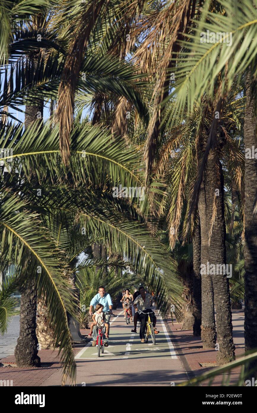 SPAIN - Catalonia - Barcelonés (district) - Barcelona. Barcelona; carril bici junto al Port Olímpic / Puerto Olímpico. Stock Photo