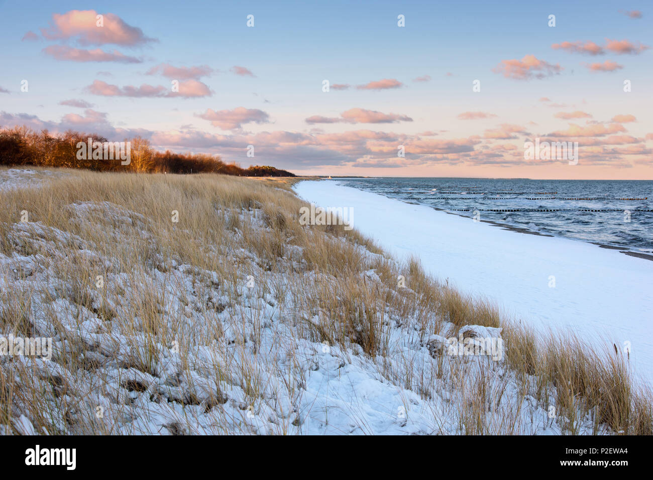 Sunrise, Beach, Winter, Snow, Baltic Sea, Darss, Zingst, Germany Stock Photo