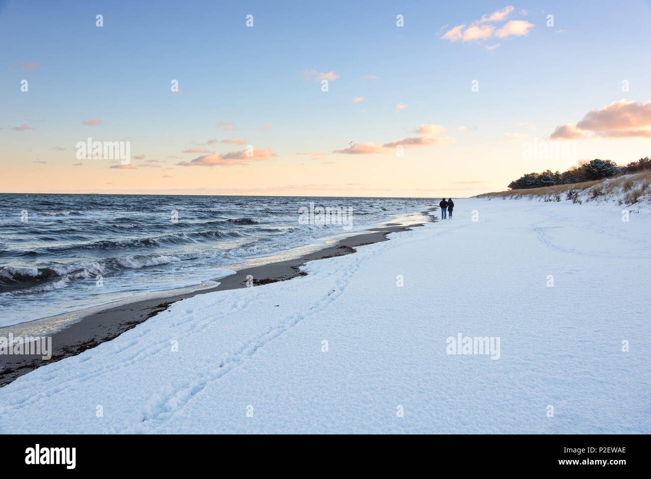 Sunrise, Beach, Winter, Snow, Stroll, Baltic Sea, Darss, Zingst, Germany Stock Photo