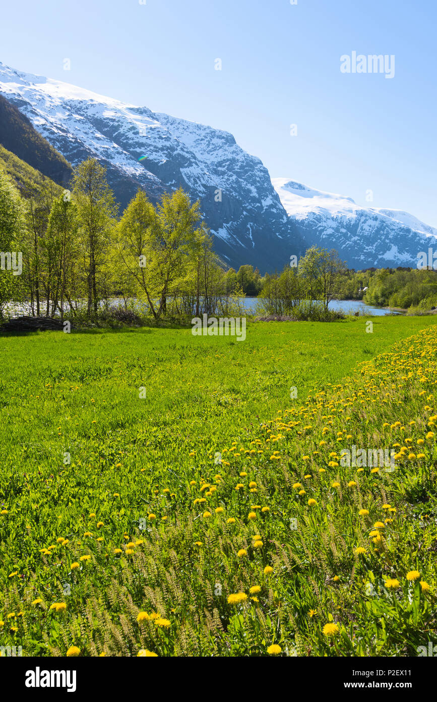 Spring, Valley, Meadow, Road, Romsdal, Norway, Europe Stock Photo