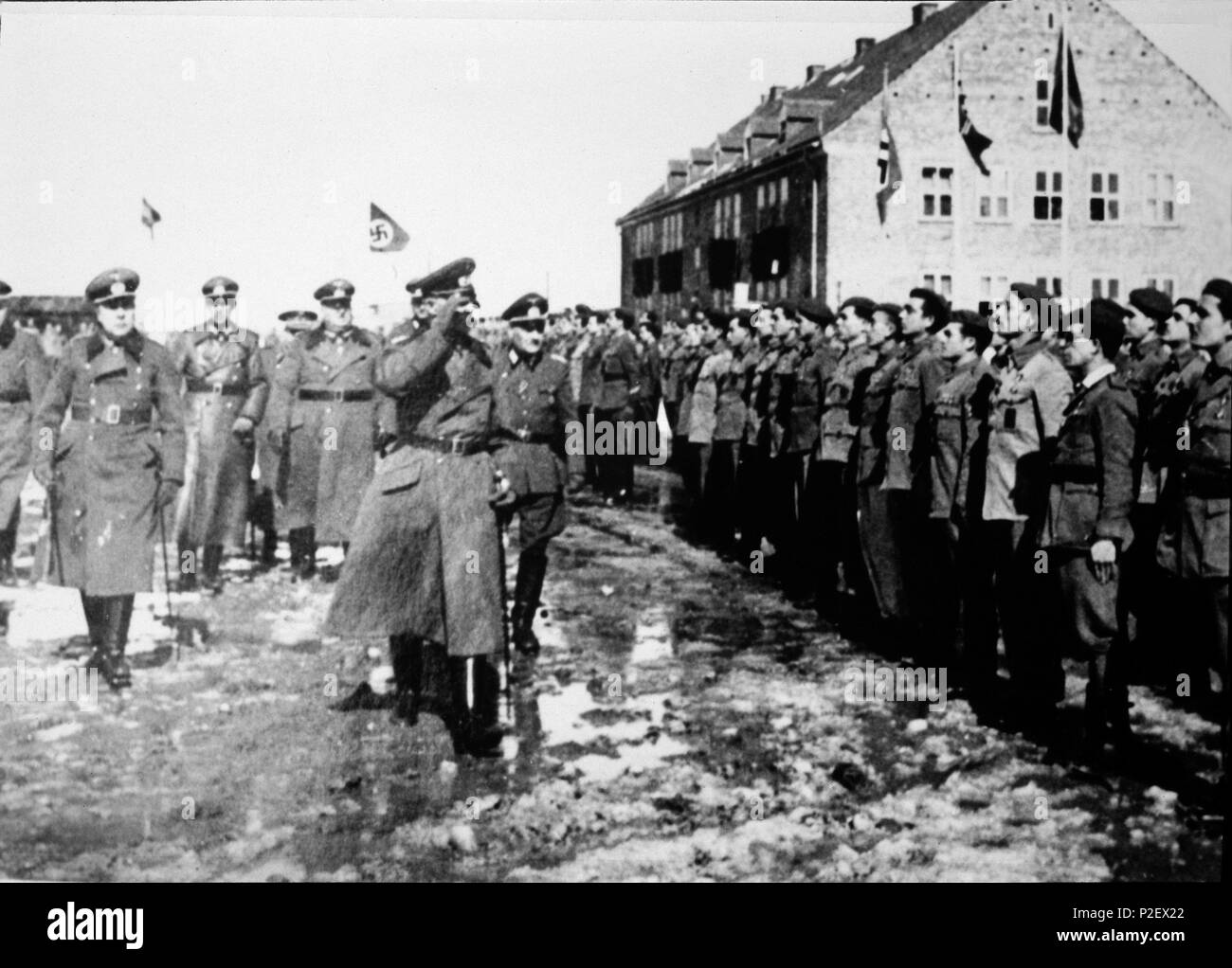 Revista por los mandos alemanes de la División Azul en Konigsberg. Alemania, año 1941. Stock Photo