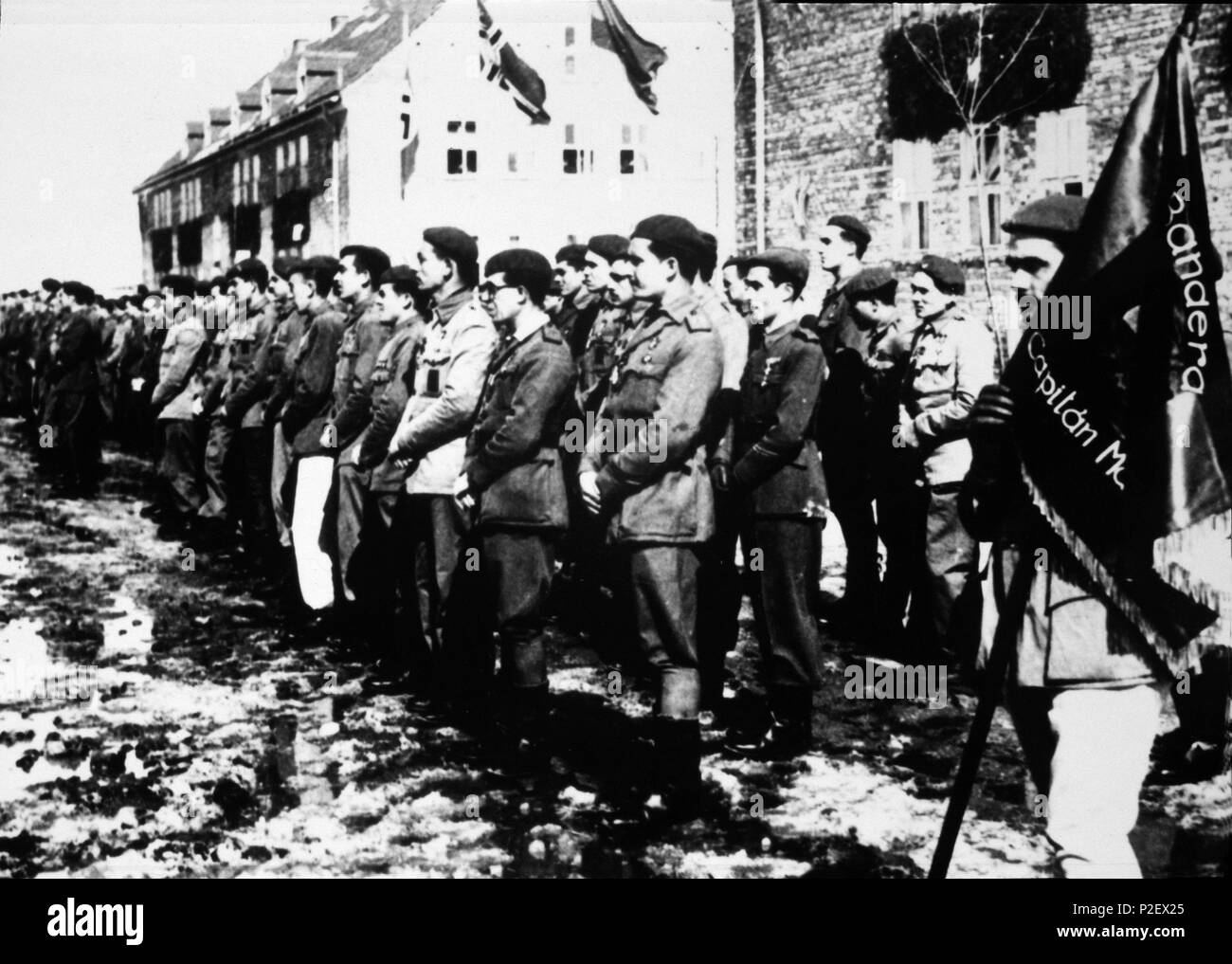 Soldados de la División Azul formados en Konigsberg. Alemania, año 1941. Stock Photo