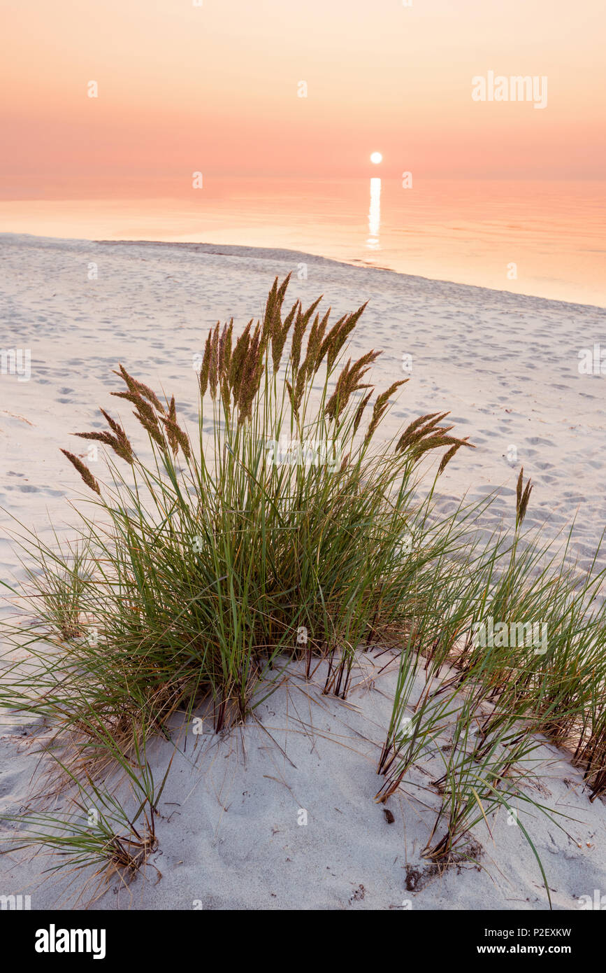 Summer, Sun, Sunset, Beach, Baltic Sea, Mecklenburg, Germany, Europe Stock Photo