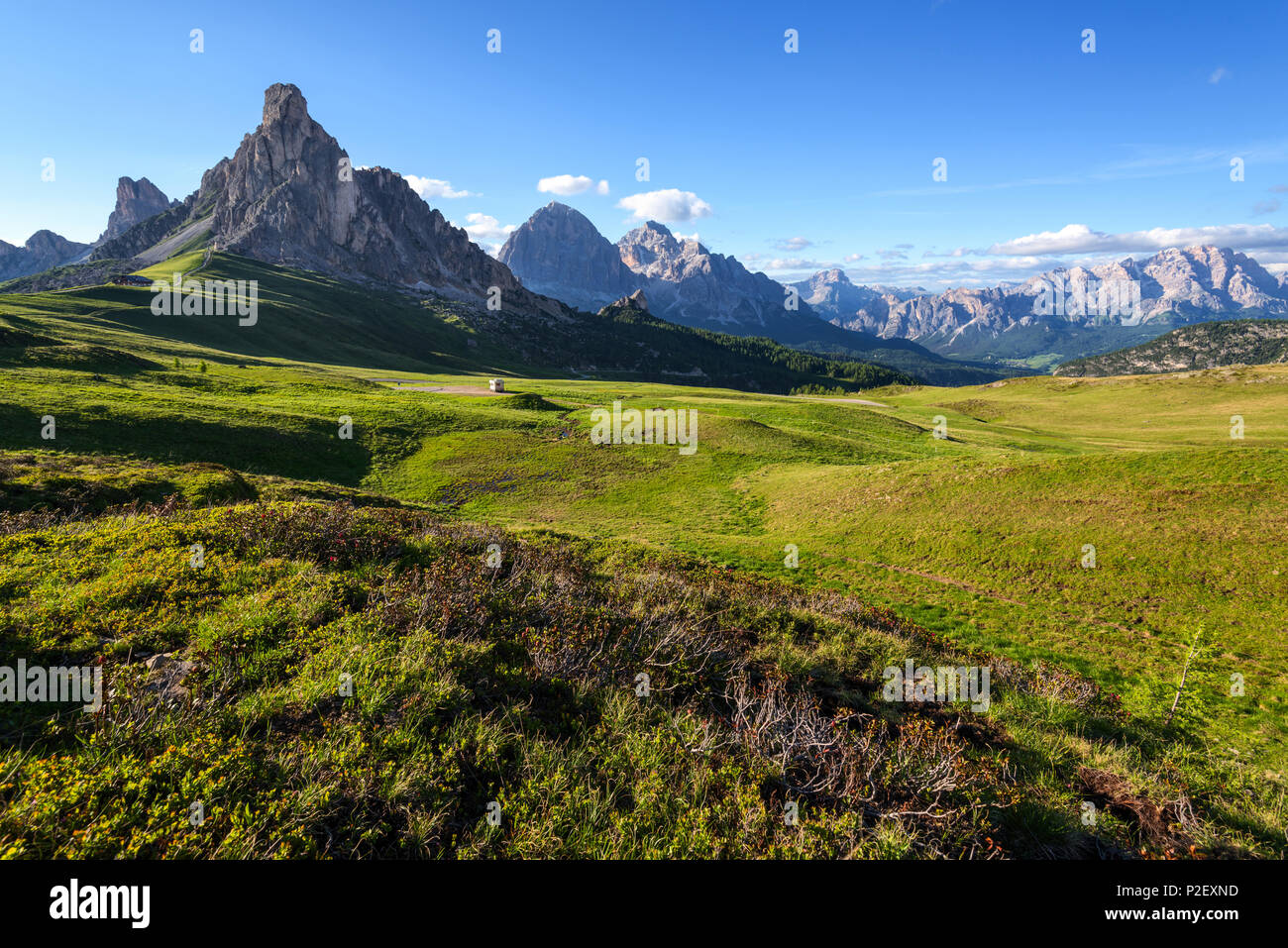Passo Giau, La Guseal, Nuvolau, Meadow, Dolomites, Alps, Italy, Europe Stock Photo
