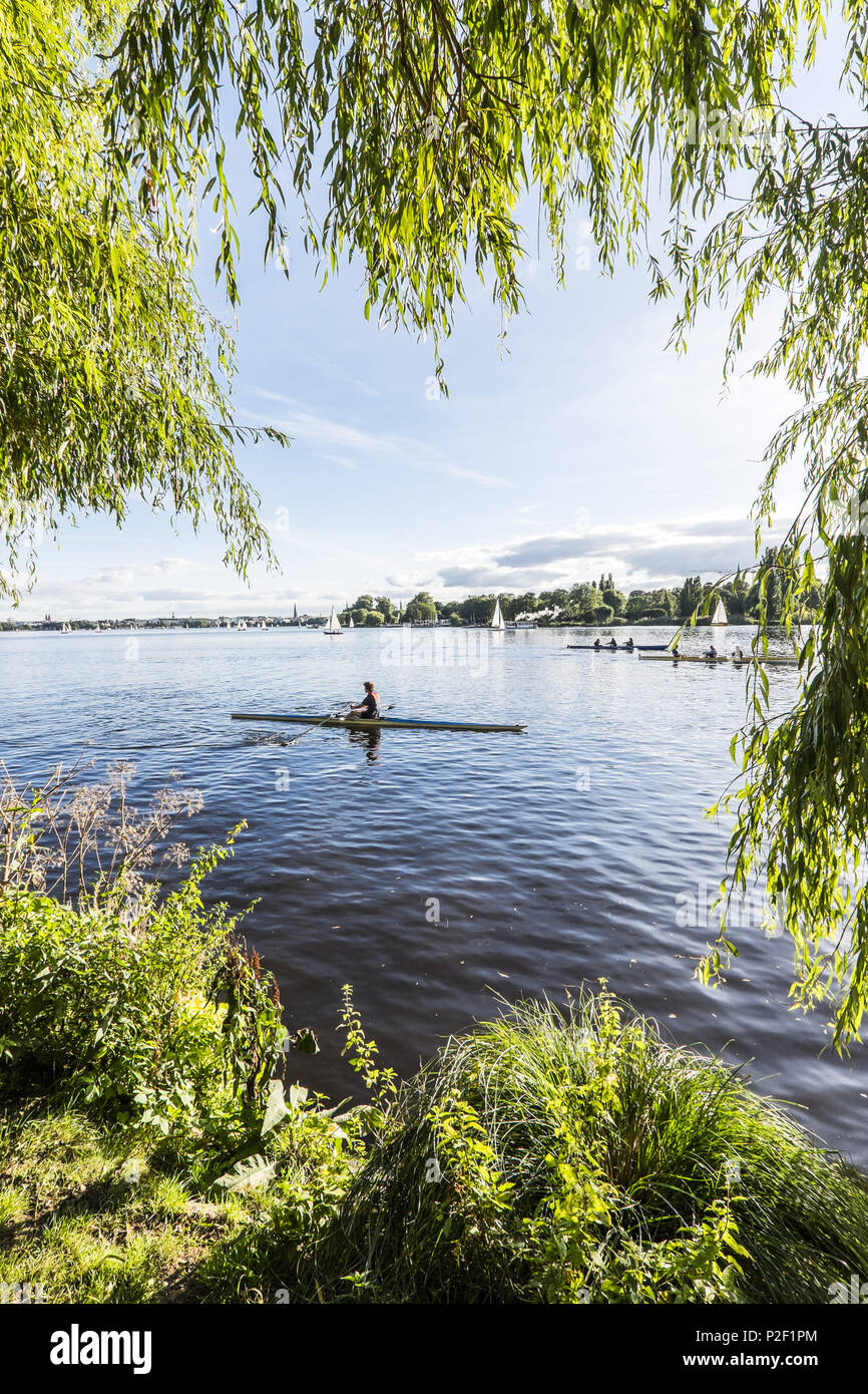 scullers and boats on the Outer Alster, Hamburg, north Germany, Germany Stock Photo