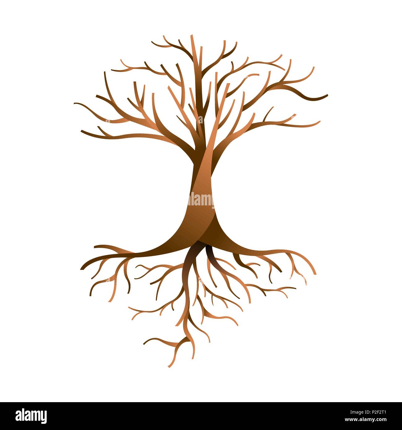 Empty tree with branches and roots on isolated background. Nature template concept. EPS10 vector. Stock Vector