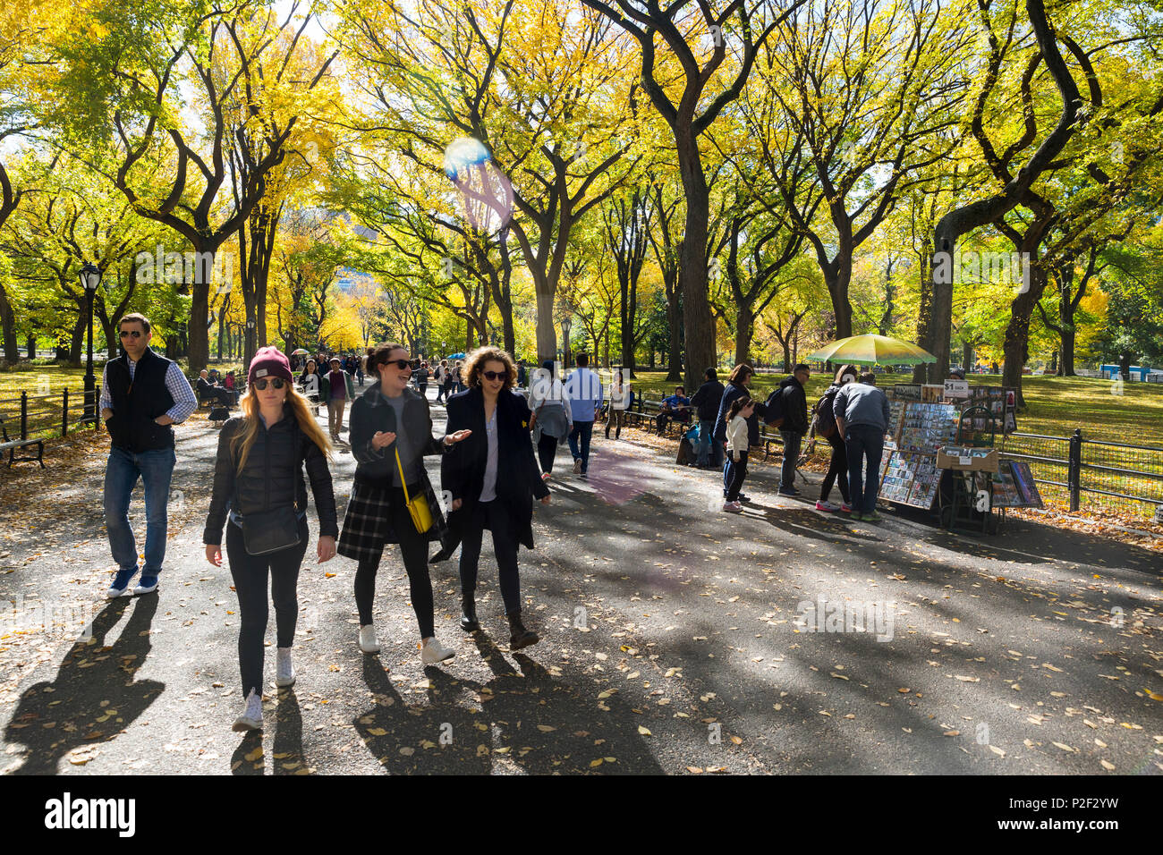 The Mall in autumn, fall in Central Park with alley of trees, Manhattan ...