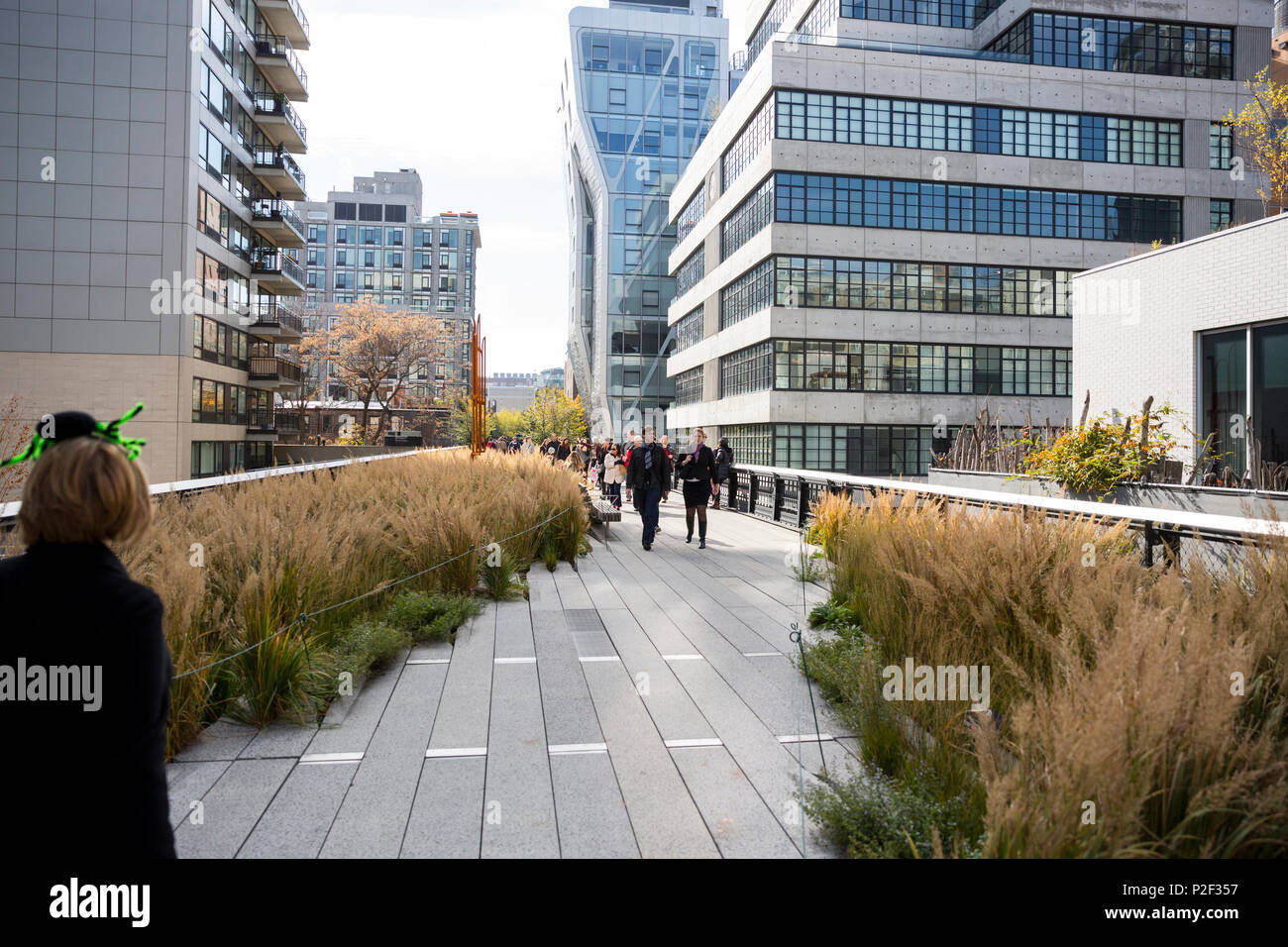 High line, park built on an elevated section of a disused railroad, downtown, Manhattan, New York City, USA, America Stock Photo