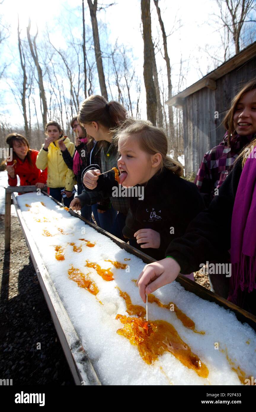 Canada, Quebec province, Saint Jean Port Joli, tasting of the pulls in the Bois Jolie sugar shack Stock Photo