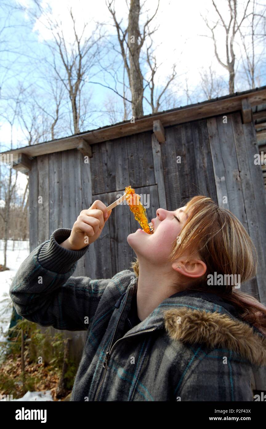 Canada, Quebec province, Saint Jean Port Joli, tasting of the pulls in the Bois Jolie sugar shack Stock Photo