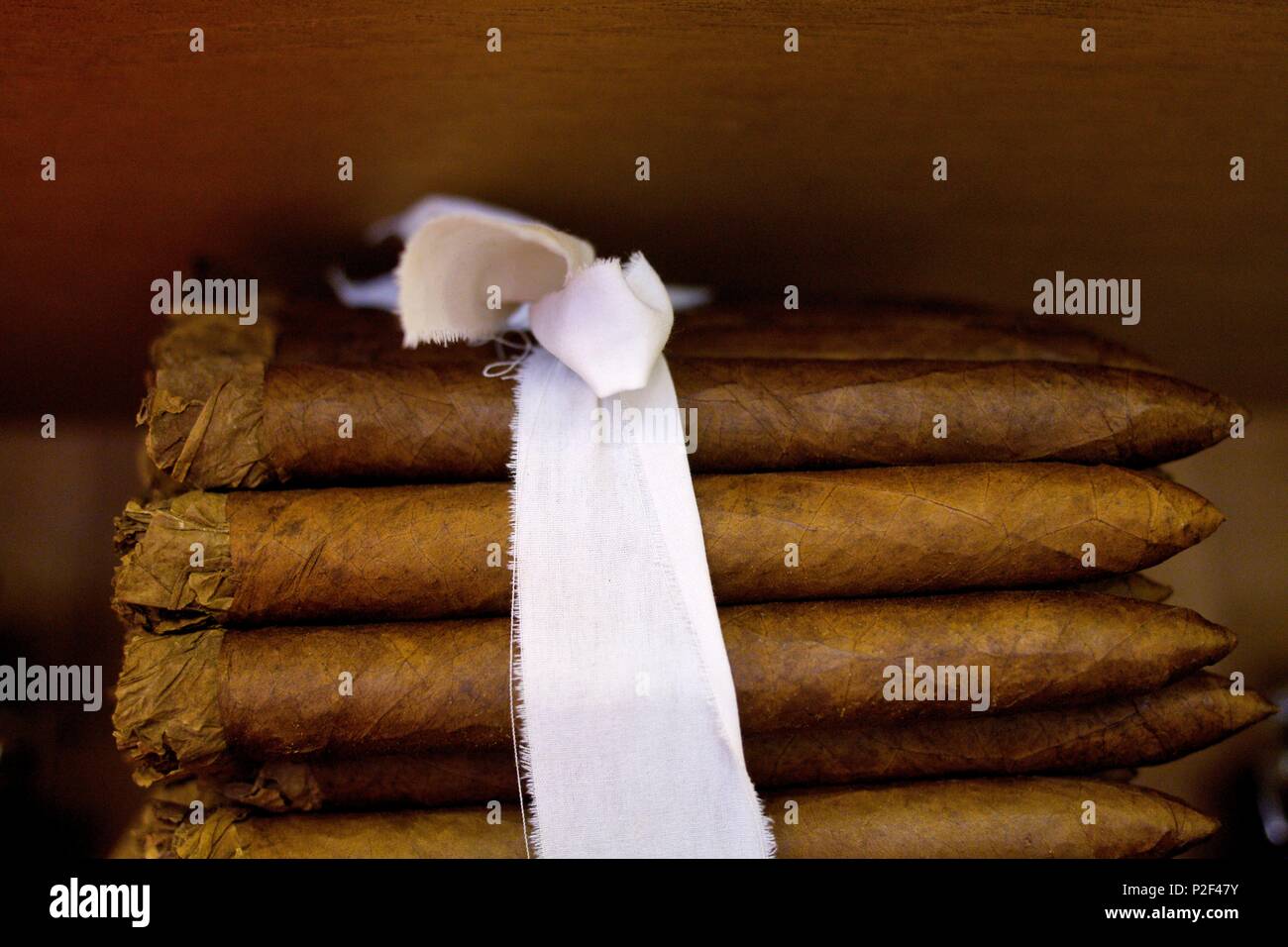 Bahamas, New Providence, Nassau, cigar factory at Hotel Graycliff Stock