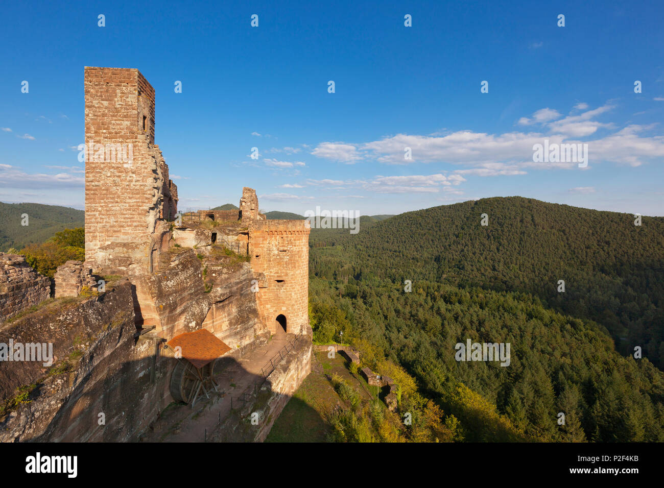 Altdahn castle, castle group Dahner Burgen, near Dahn, Dahner Felsenland, Palatinate Forest nature park, Rhineland-Palatinate, G Stock Photo