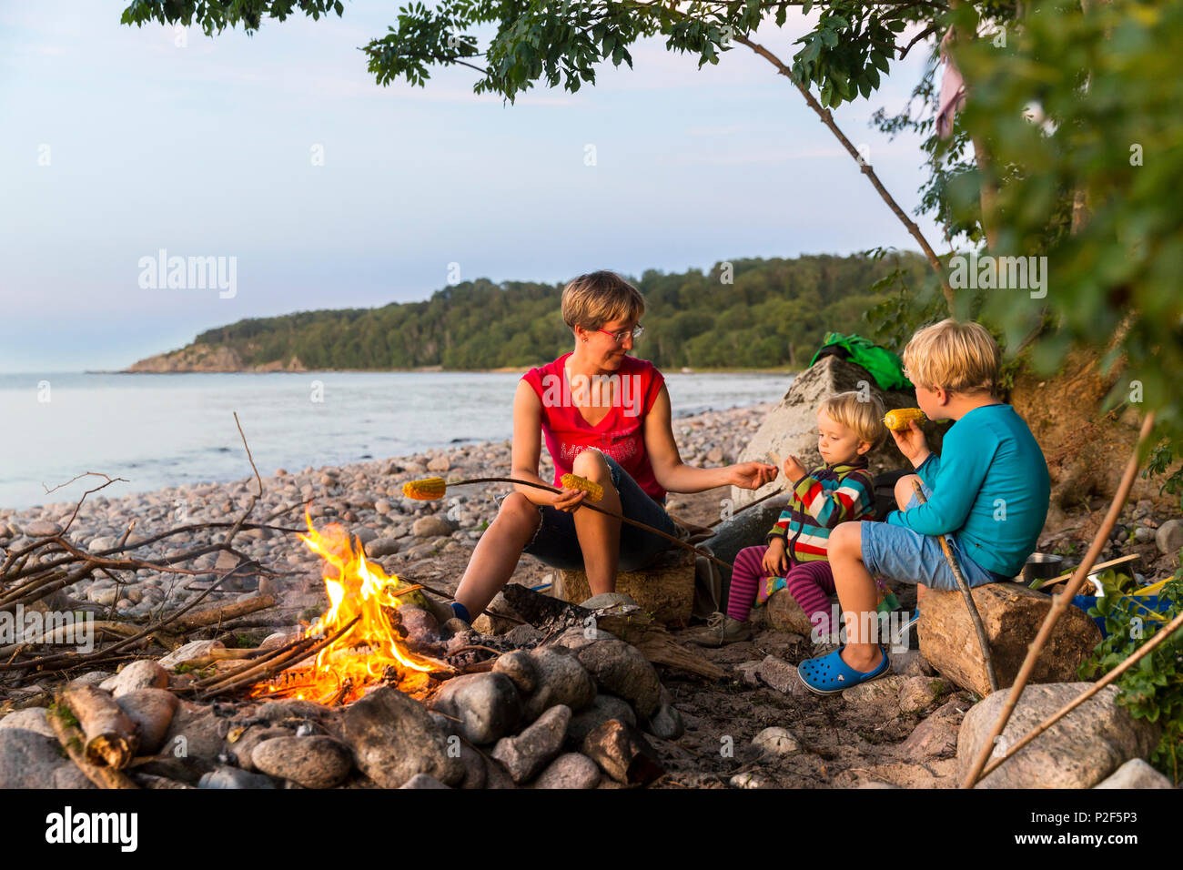 Mother and children eating corn on the cob around the campfire, Adventure, Baltic sea, MR, Bornholm, near Gudhjem, Denmark, Euro Stock Photo