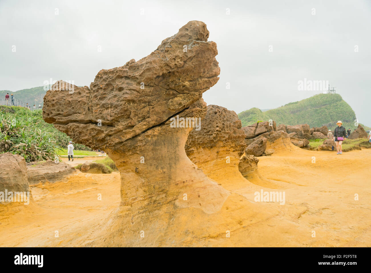 Taiwan Rocks Special rocks in Yehliu Geopark at New Taipei City, Taiwan Stock Photo ...