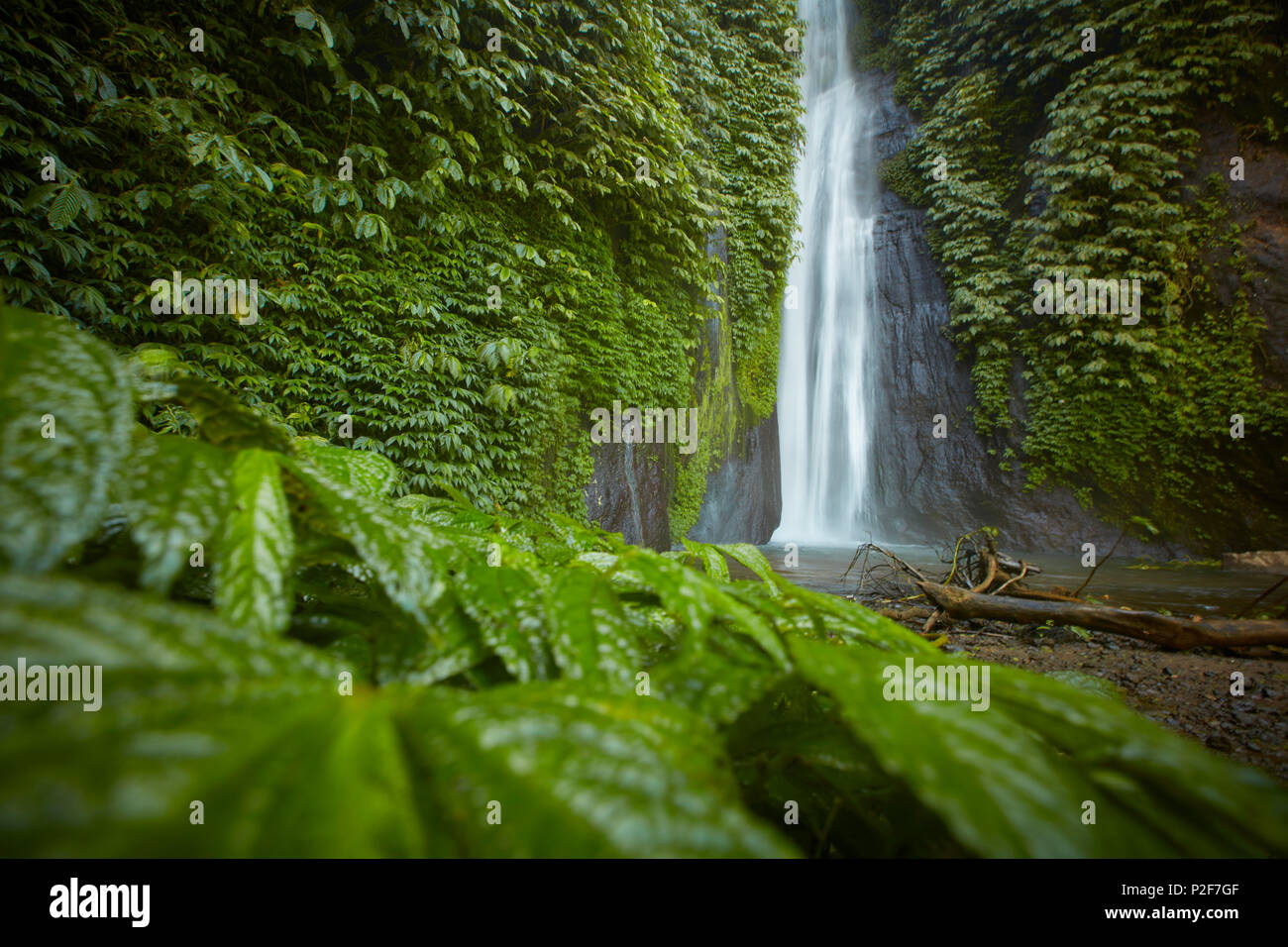 MUNUK waterfall, near Gobleg, north Bali, Indonesia Stock Photo