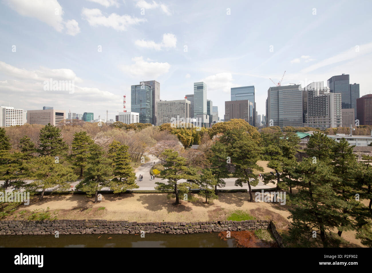 The best view in Higashi-Koen can be enjoyed from the secret viewpoint in Honmaru Garden, Chiyoda-ku, Tokyo, Japan Stock Photo