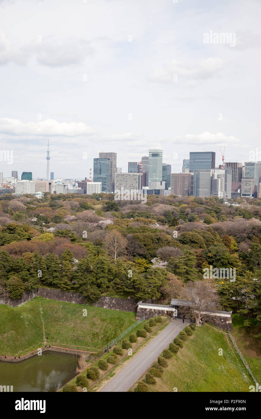 Higashi-Koen in spring with skyscrapers of Marunouchi and Tokyo Skytree in the background, Chiyoda-ku, Tokyo, Japan Stock Photo