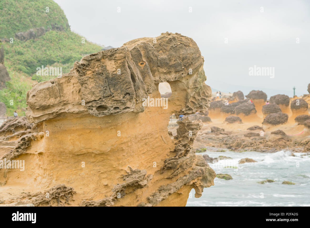 Taiwan Rocks Special rocks in Yehliu Geopark at New Taipei City, Taiwan Stock Photo ...
