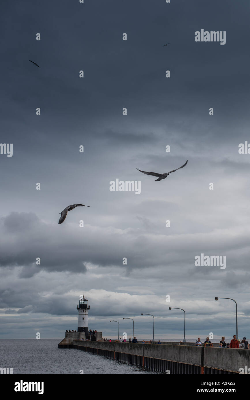 Sea Gulls and Duluth Lighthouse Stock Photo