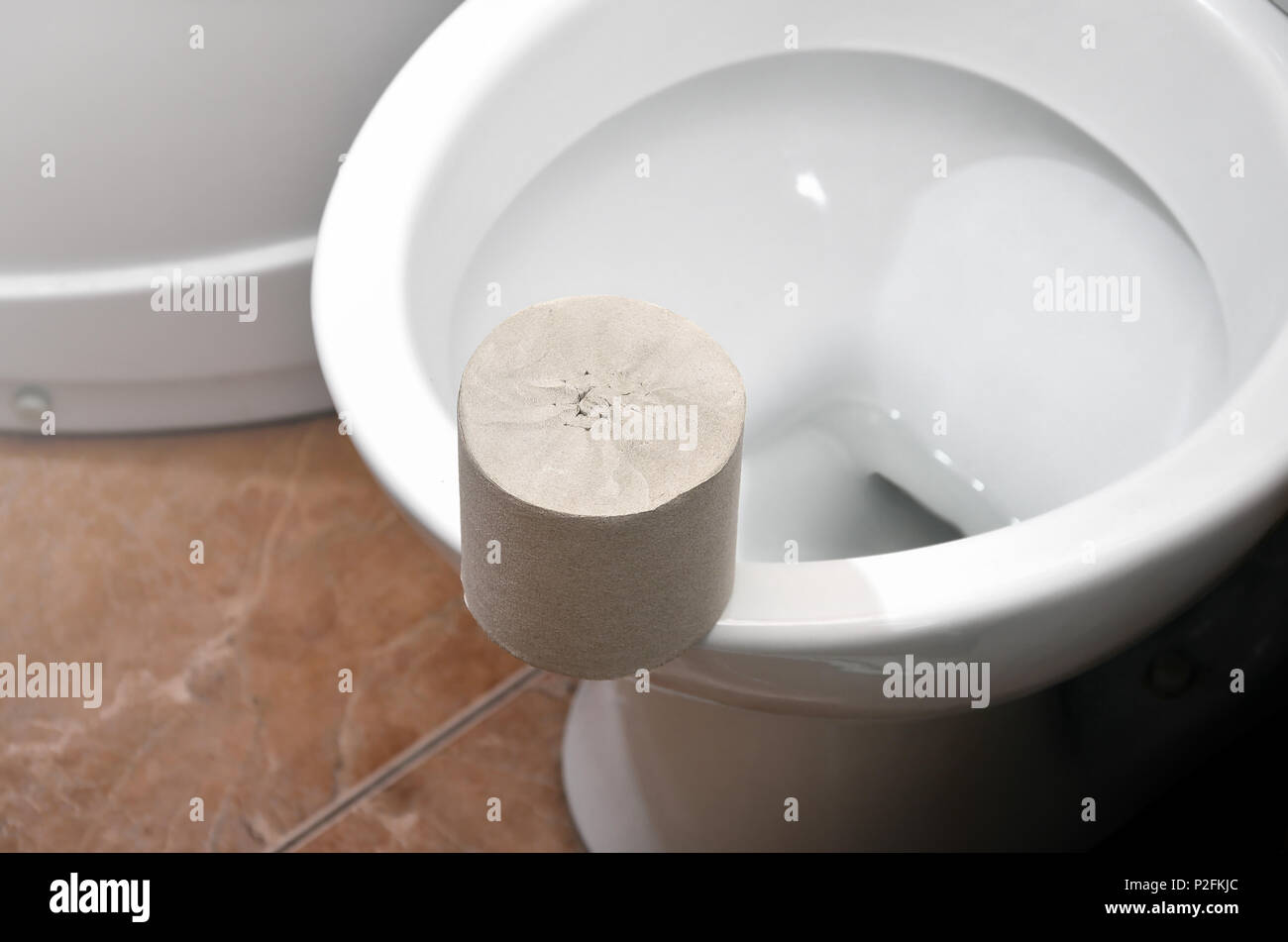 A roll of gray toilet paper lies on a white ceramic toilet in the