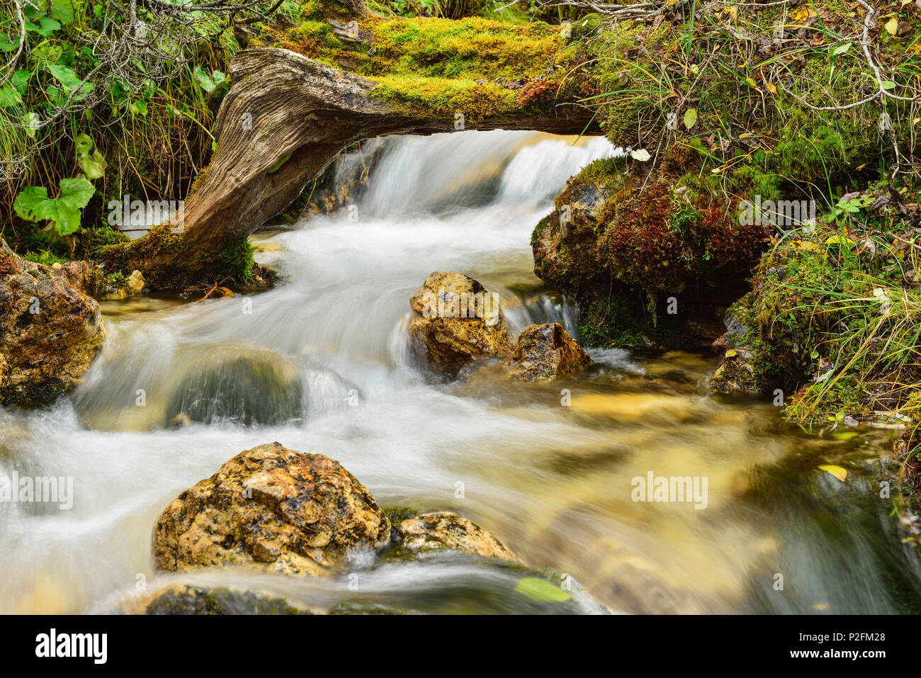 Stream, Drei Zinnen, Tre Cime di Lavaredo, UNESCO World Heritage Site Dolomites, Dolomites, Veneto, Italy Stock Photo