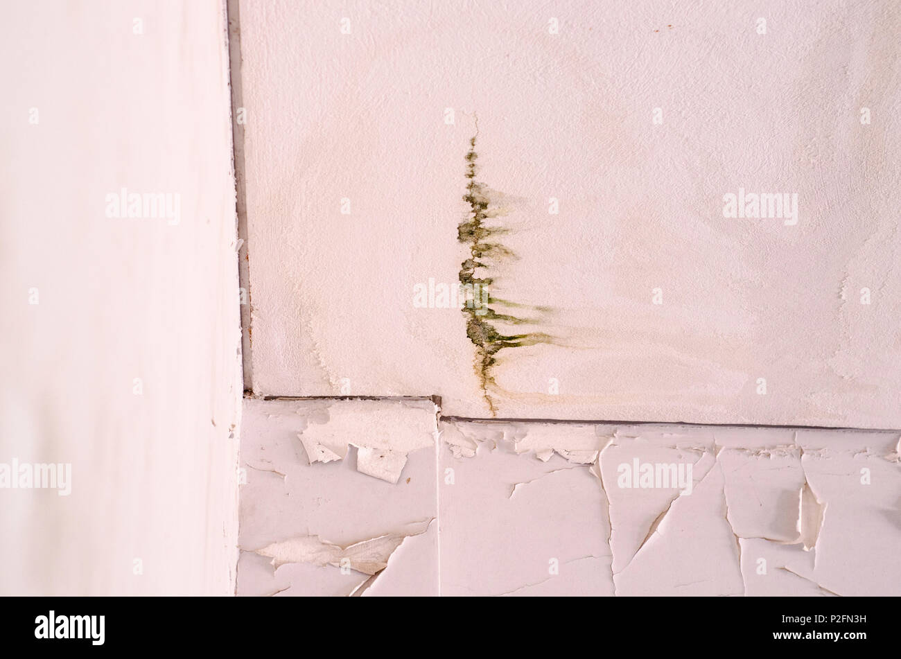 Mold mildew on roof house Stock Photo